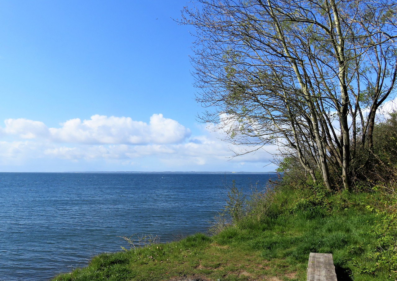 sea  baltic sea  denmark free photo