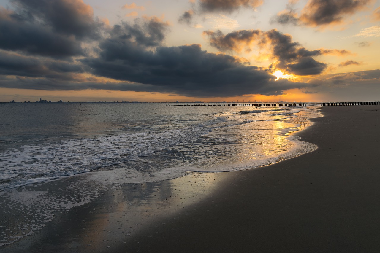 sea  sunrise  holland free photo