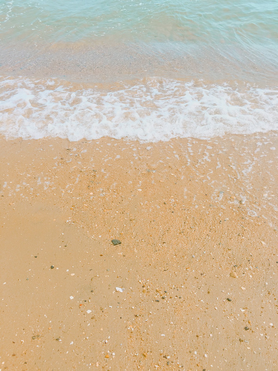 sea  sand  ocean free photo