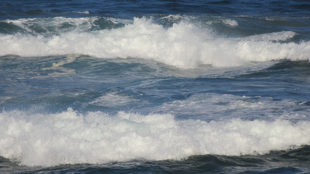 sea  waves  ocean free photo