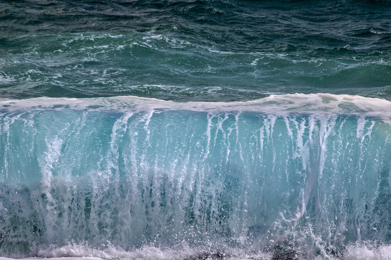 sea  wave  costa free photo