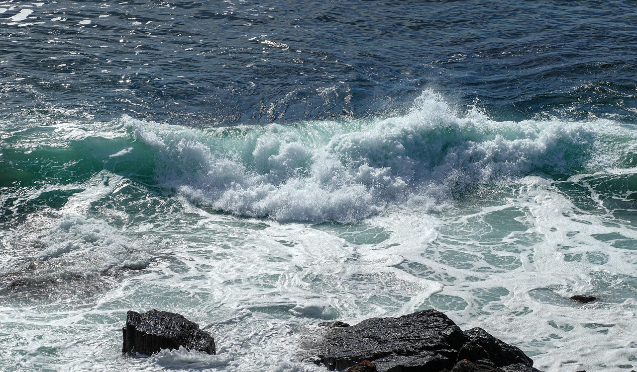 sea  nature  blue free photo