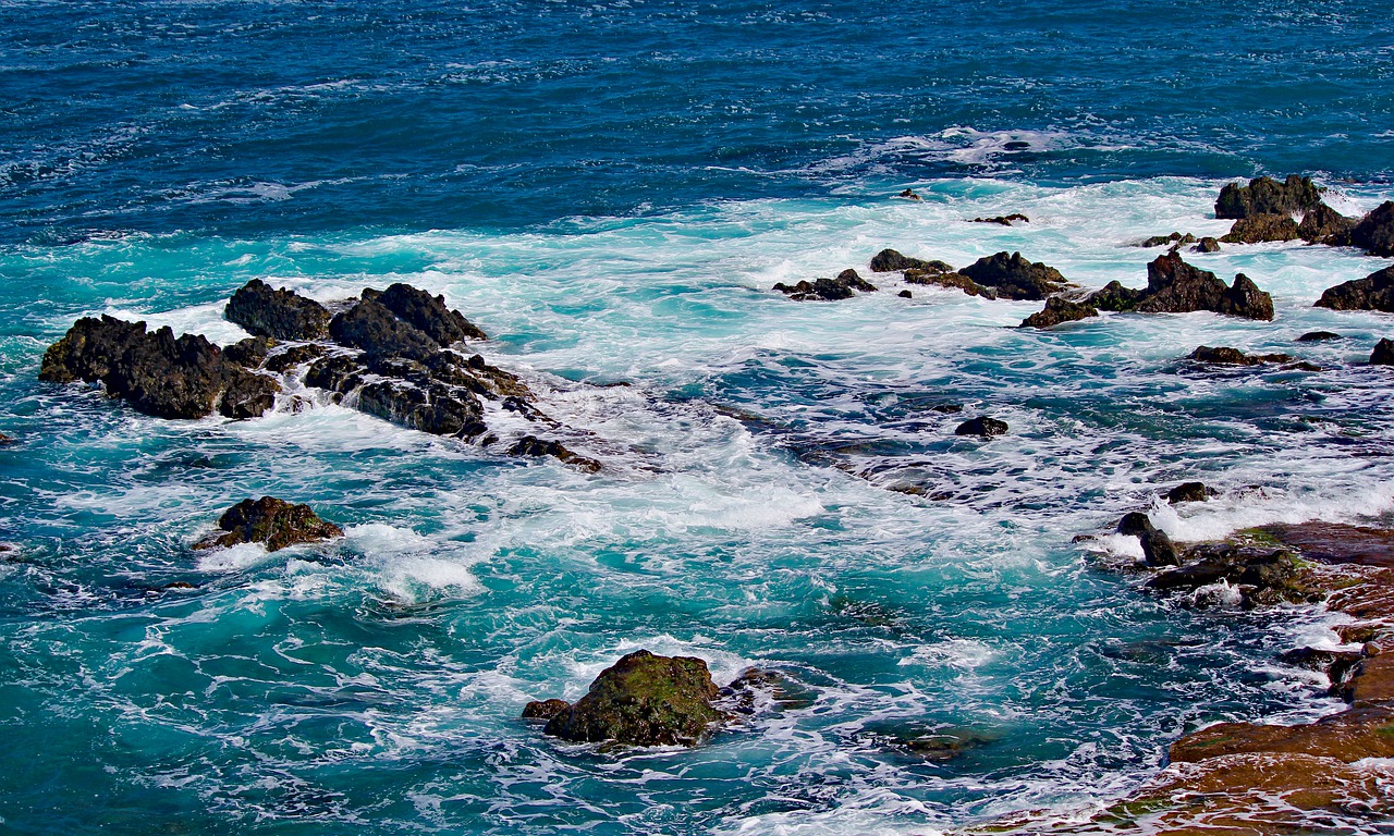 sea  coast  waves free photo