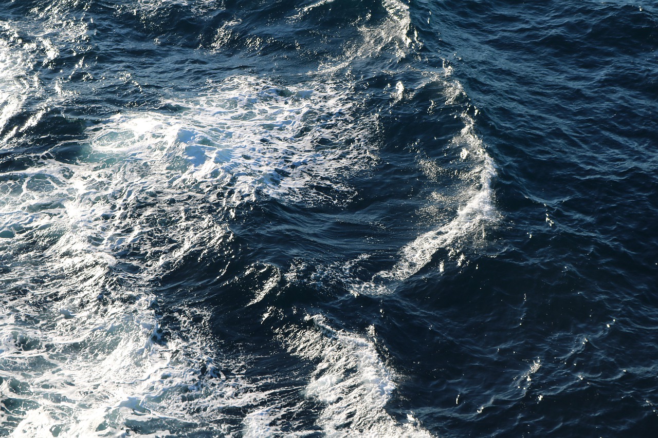 sea  ocean  waves free photo