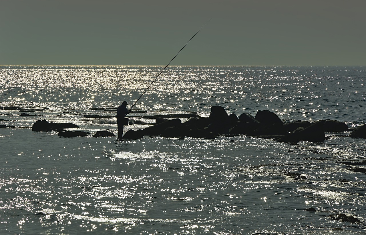 sea  water  angler free photo