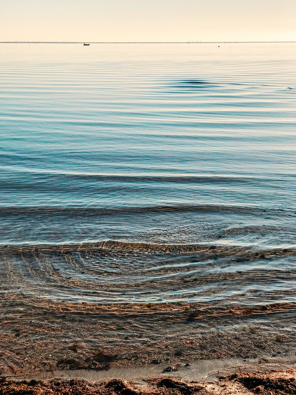 sea  waves  beach free photo