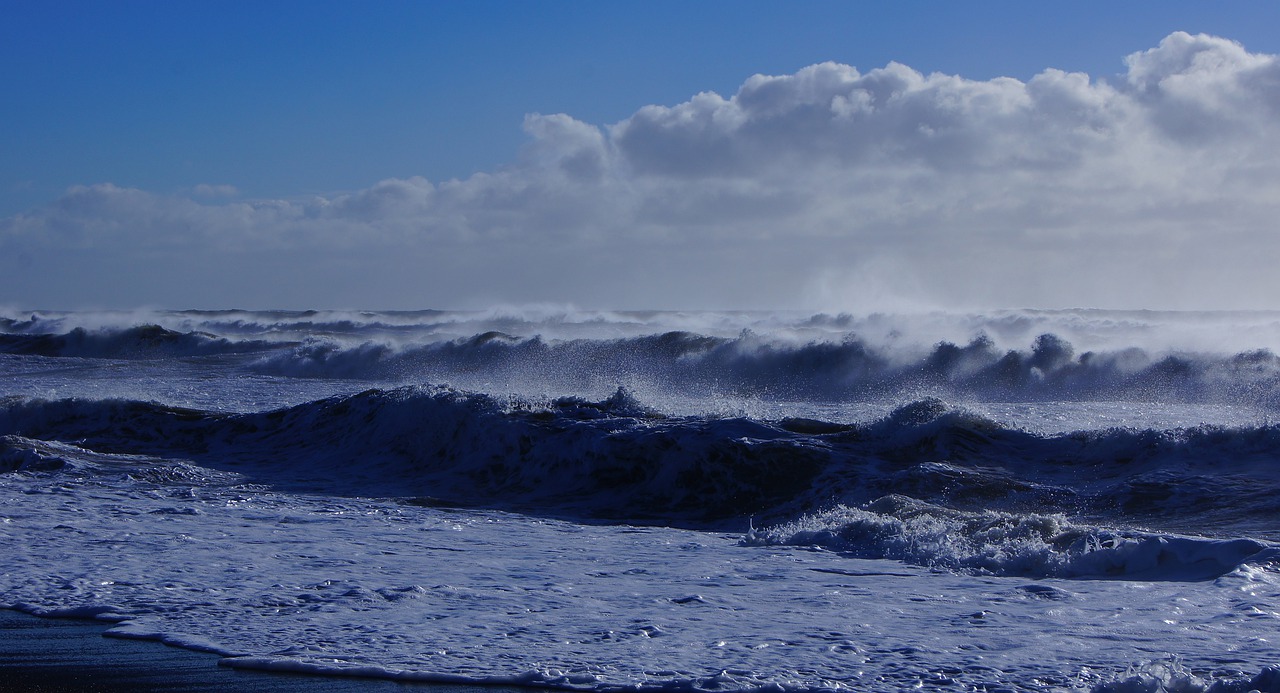 sea  beach  wave free photo