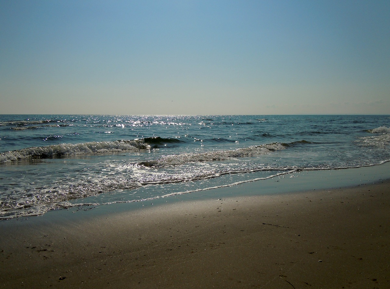 sea beach morning light free photo