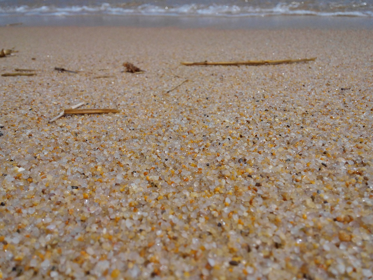sea sand sandy free photo