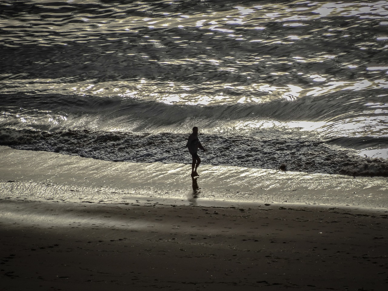 sea beach landscape free photo