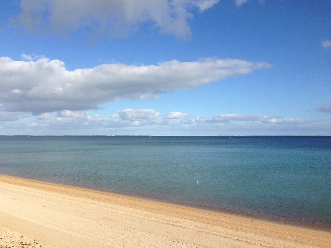 sea beach sun free photo