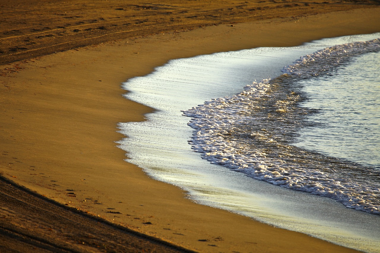 sea beach edge of the sea free photo