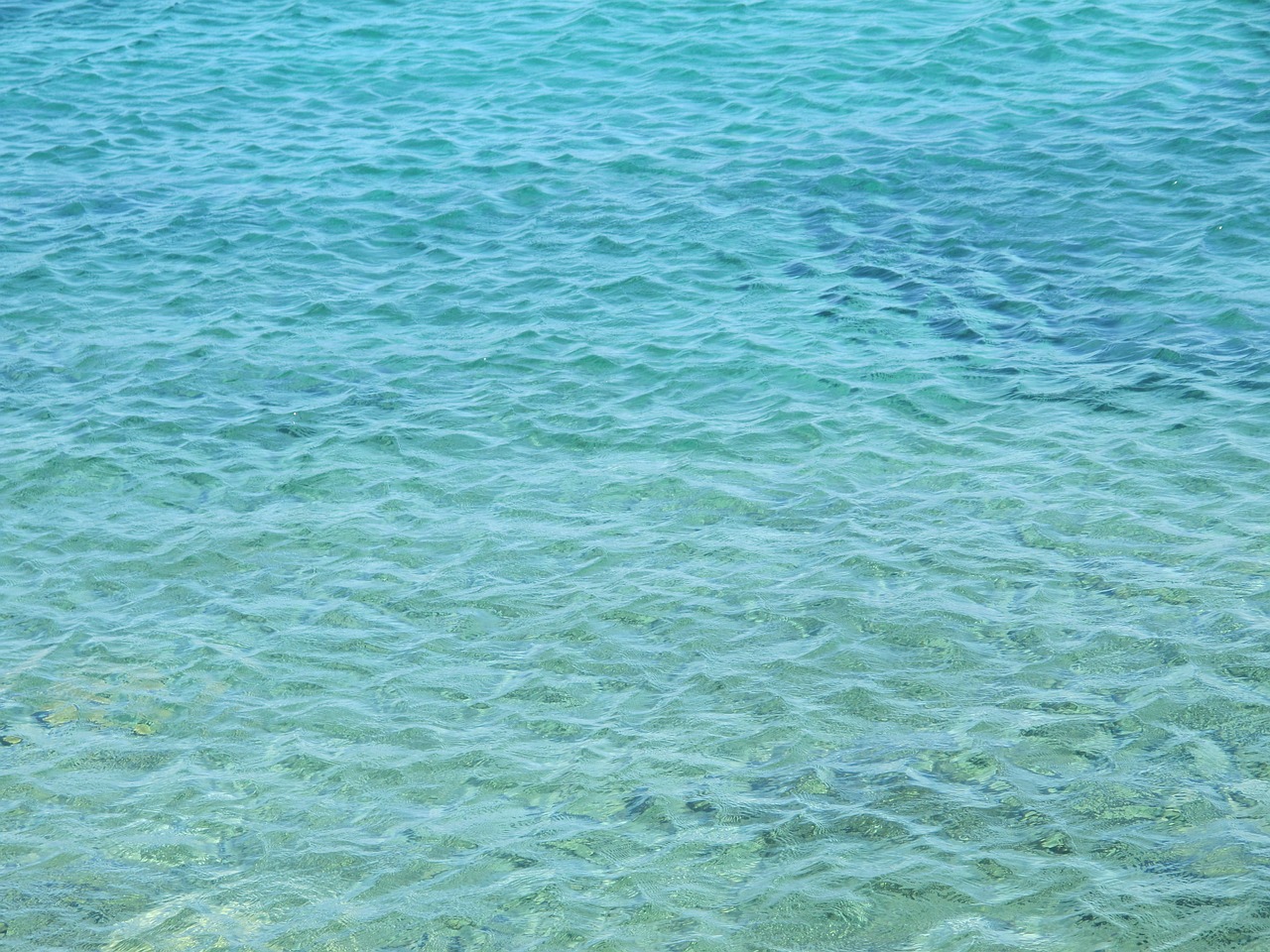 sea blue water free photo