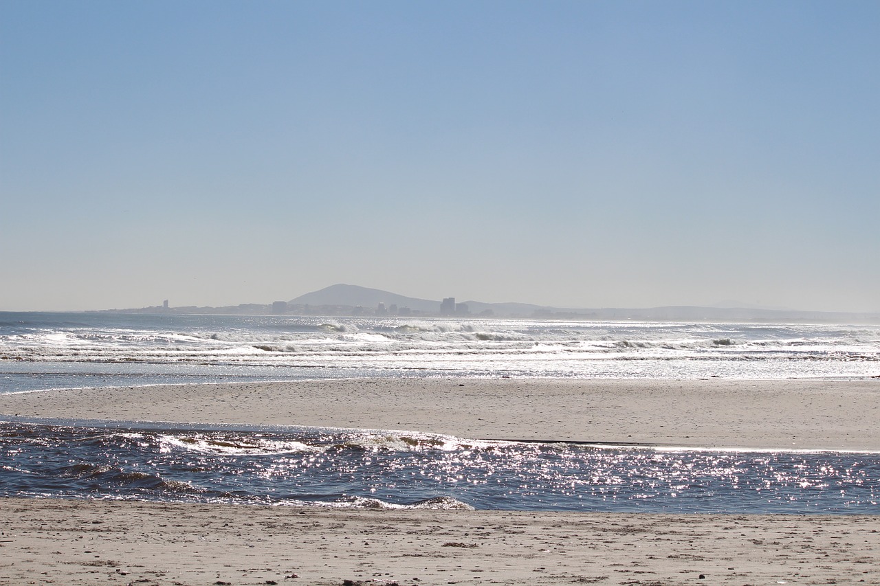 sea beach wave free photo