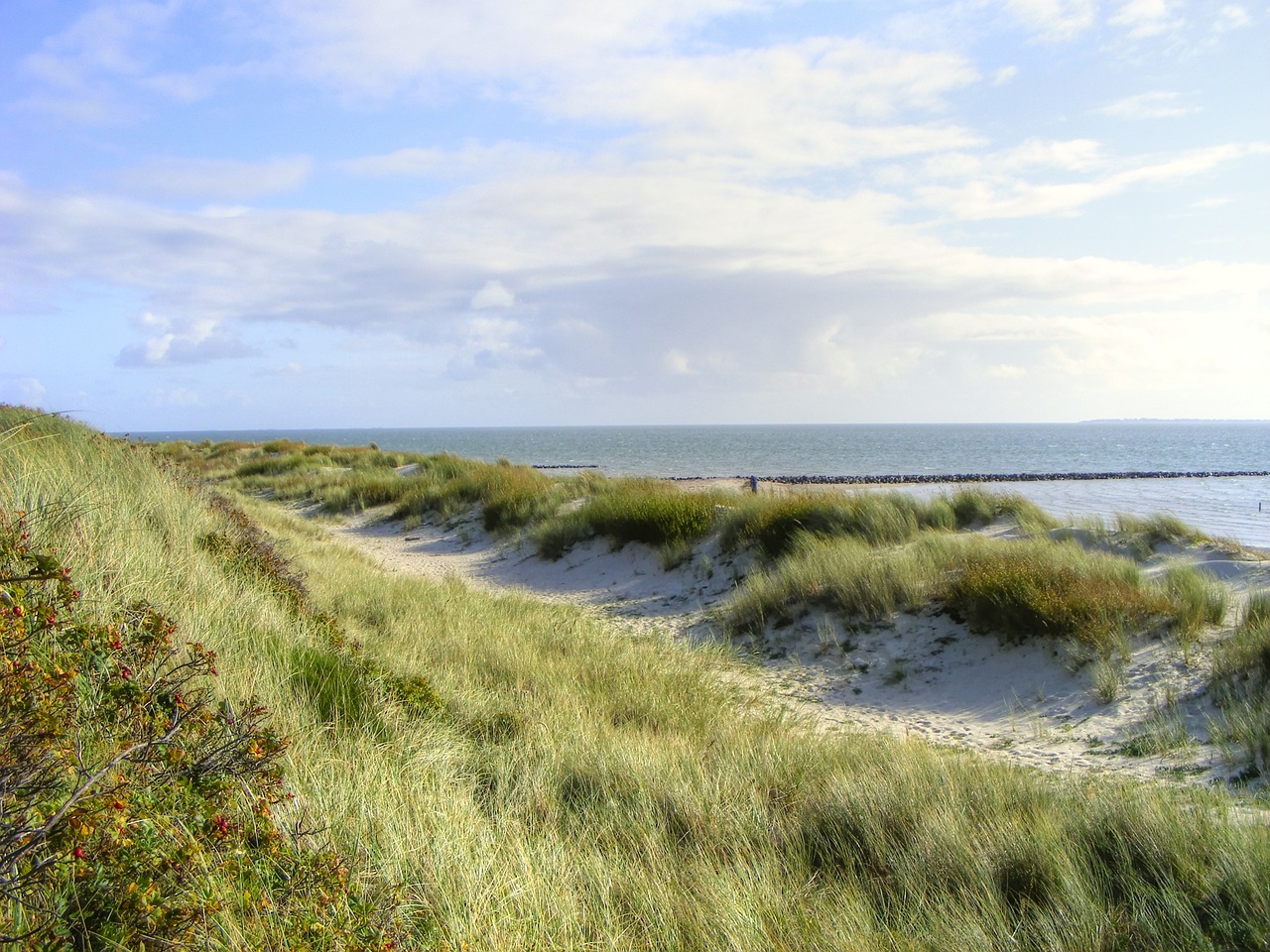 sea island dunes free photo