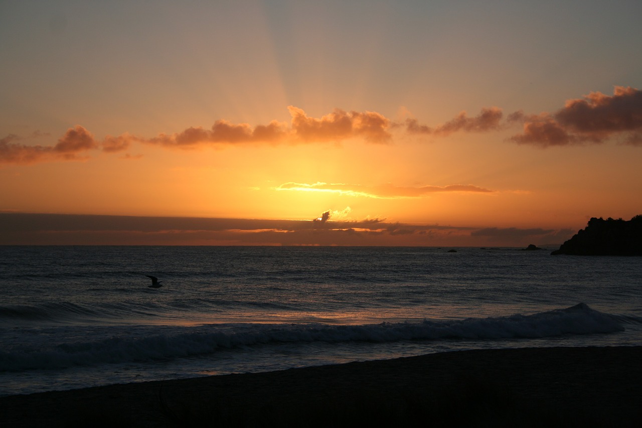 sea sunrise morning free photo