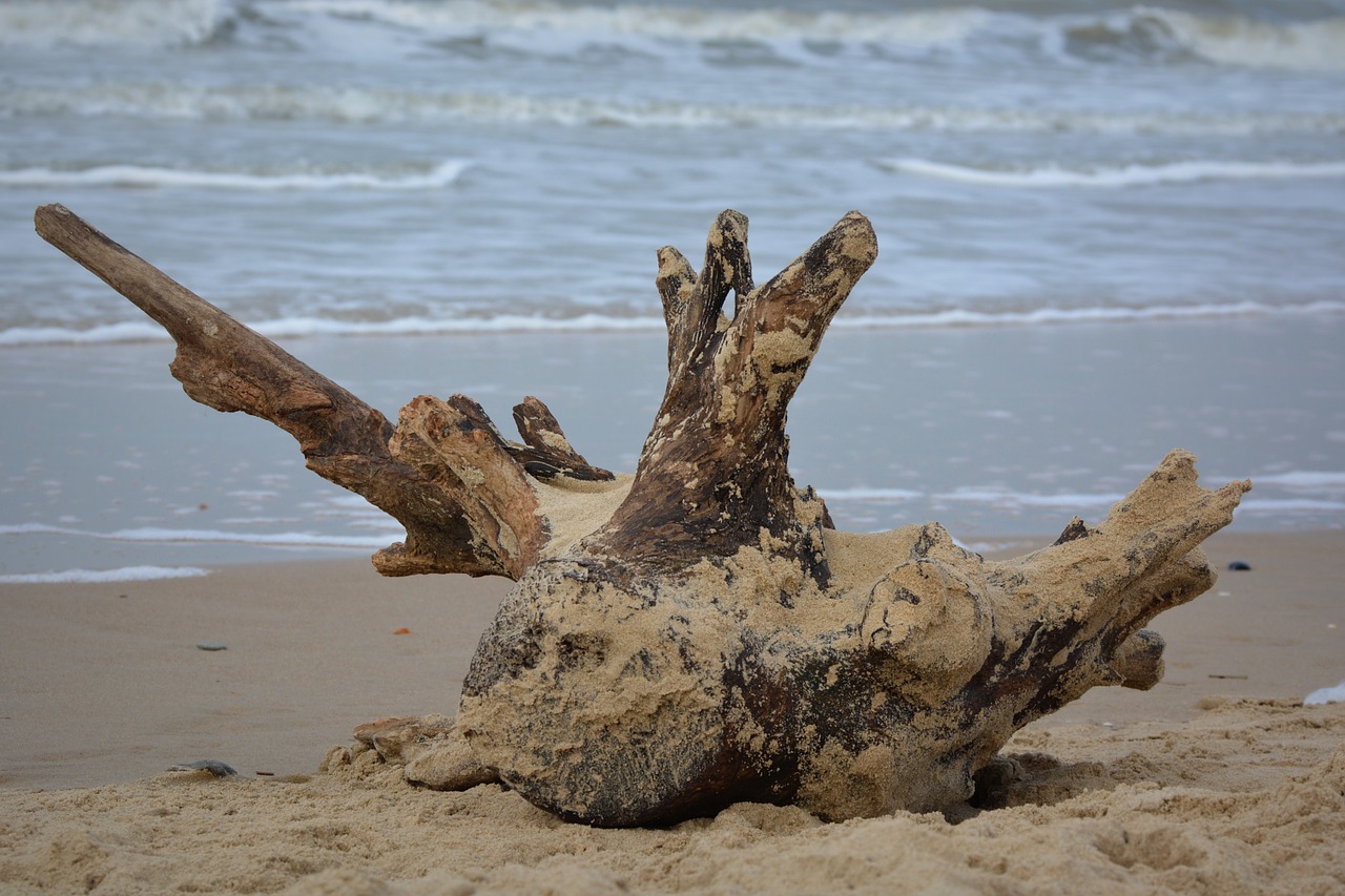 sea beach waves free photo