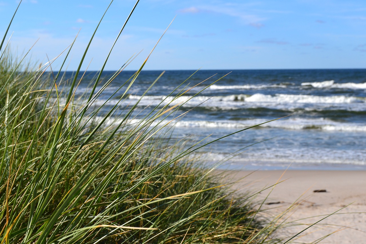 sea beach water free photo