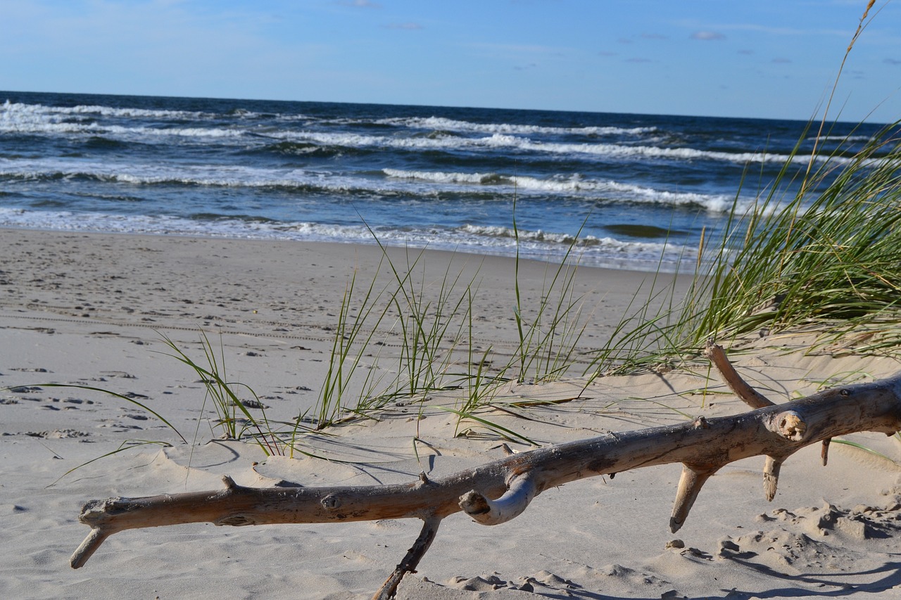 sea beach water free photo