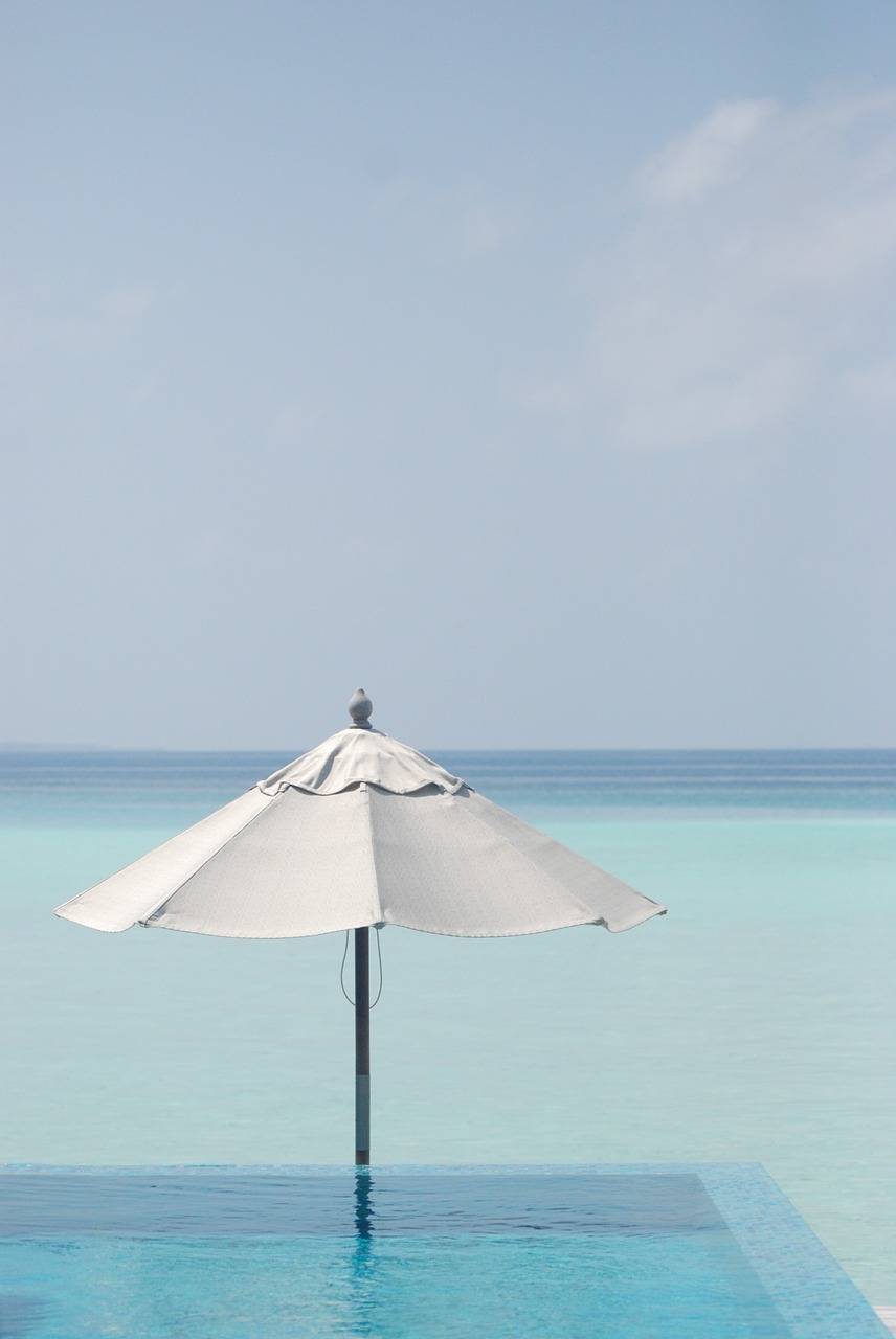 sea parasol blue free photo