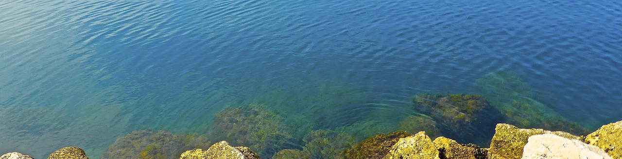 sea rocks coastline free photo