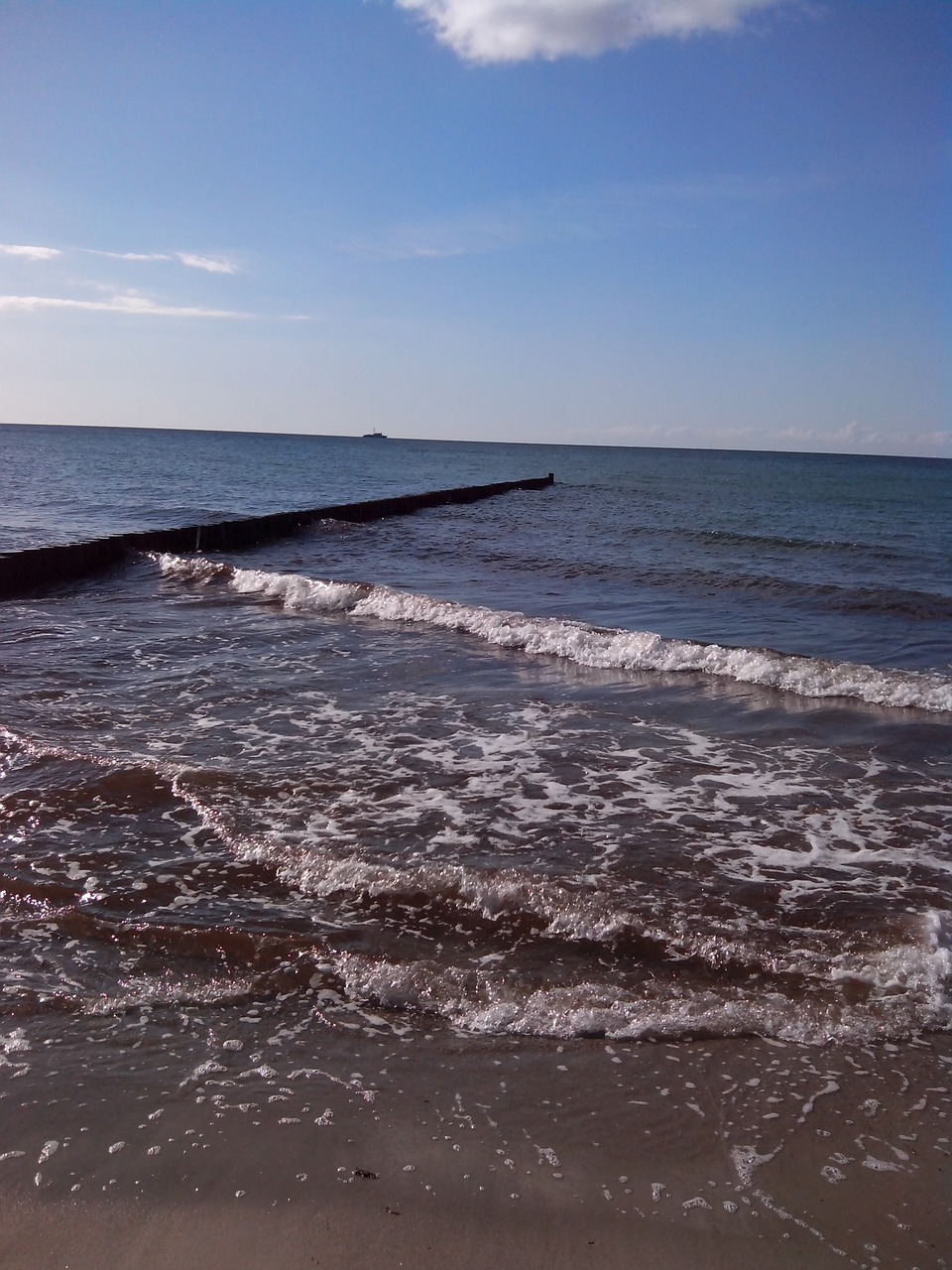 sea baltic sea beach free photo