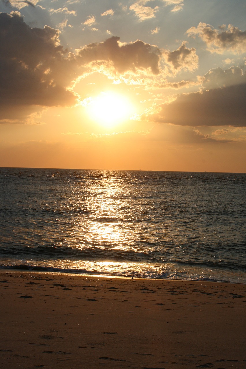 sea beach sunrise free photo