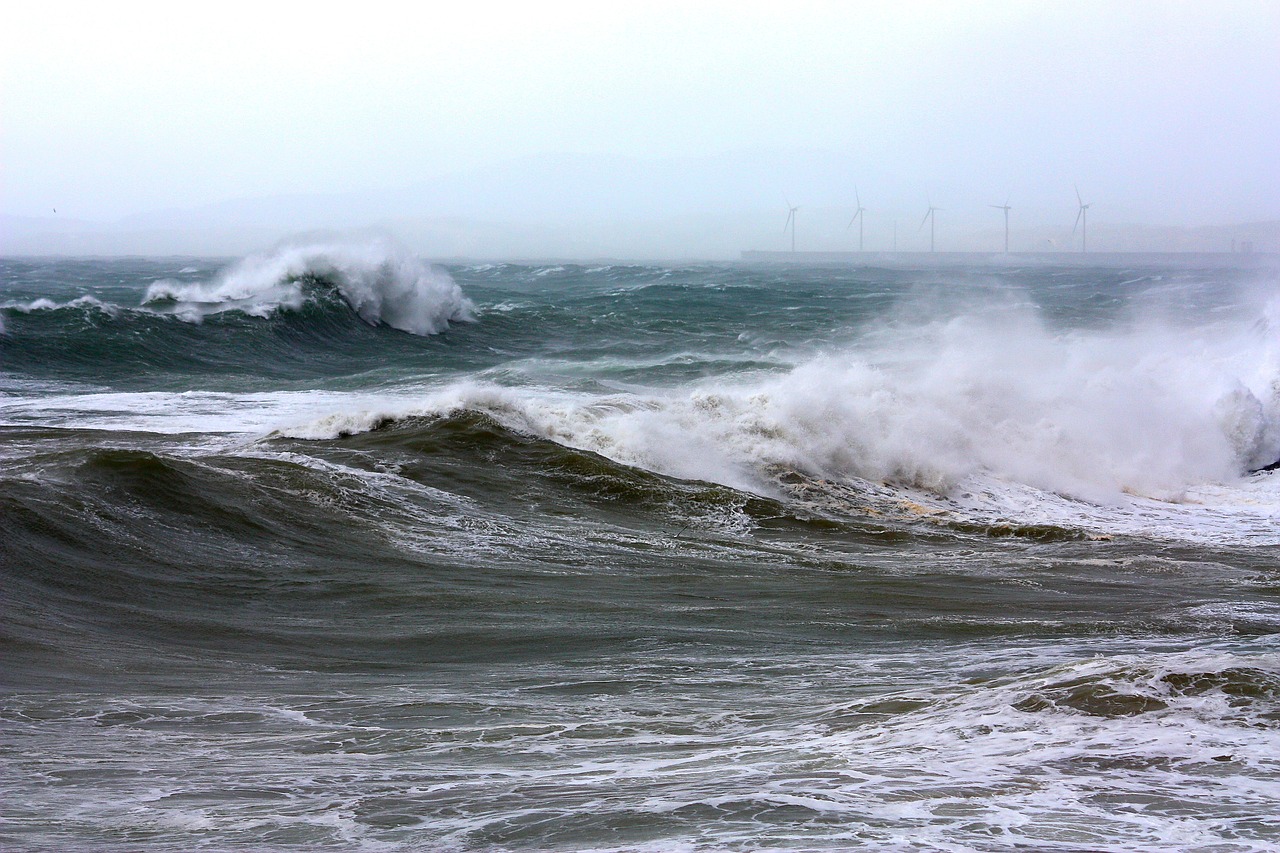 sea scum waves free photo