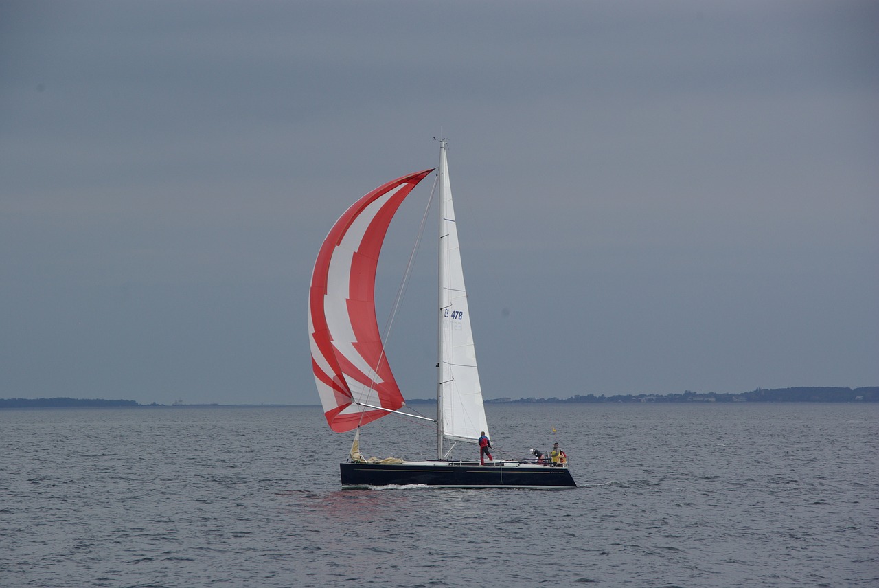 sea sailing sailboat free photo