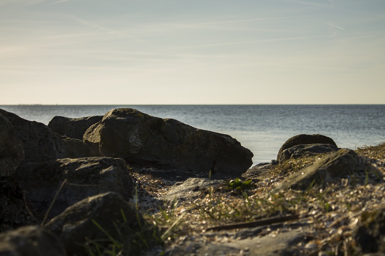 sea netherlands water free photo