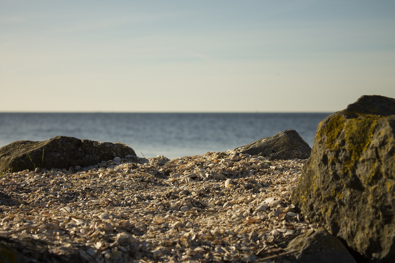 sea netherlands water free photo