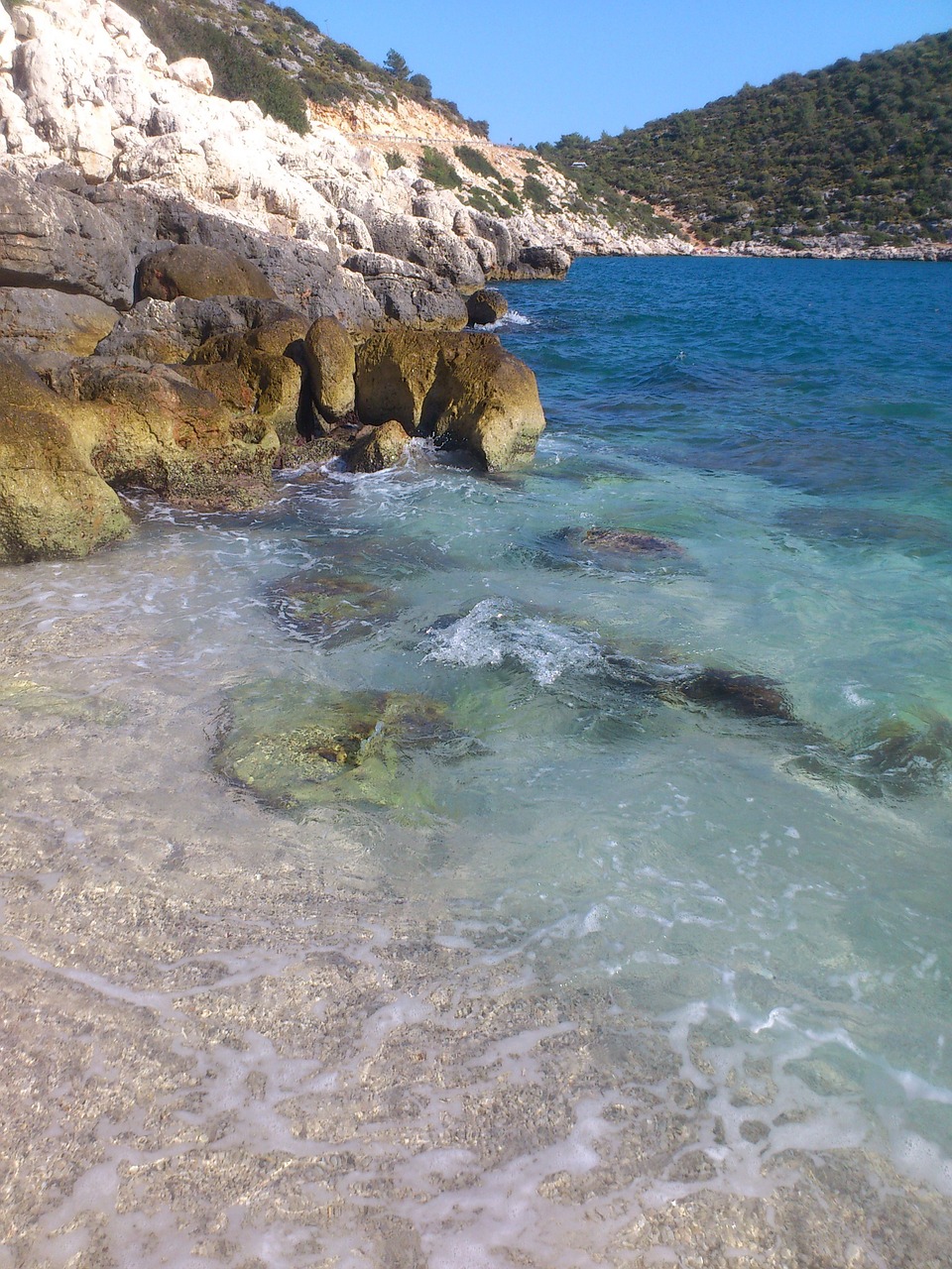 sea summer beach free photo