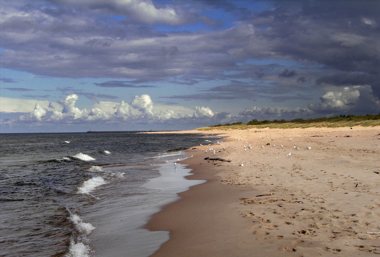 sea beach blue free photo