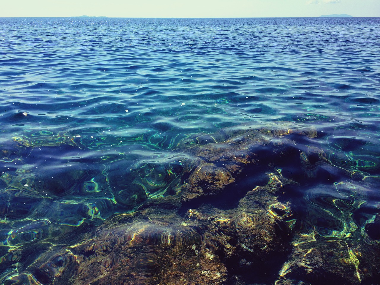 sea shore rocky free photo