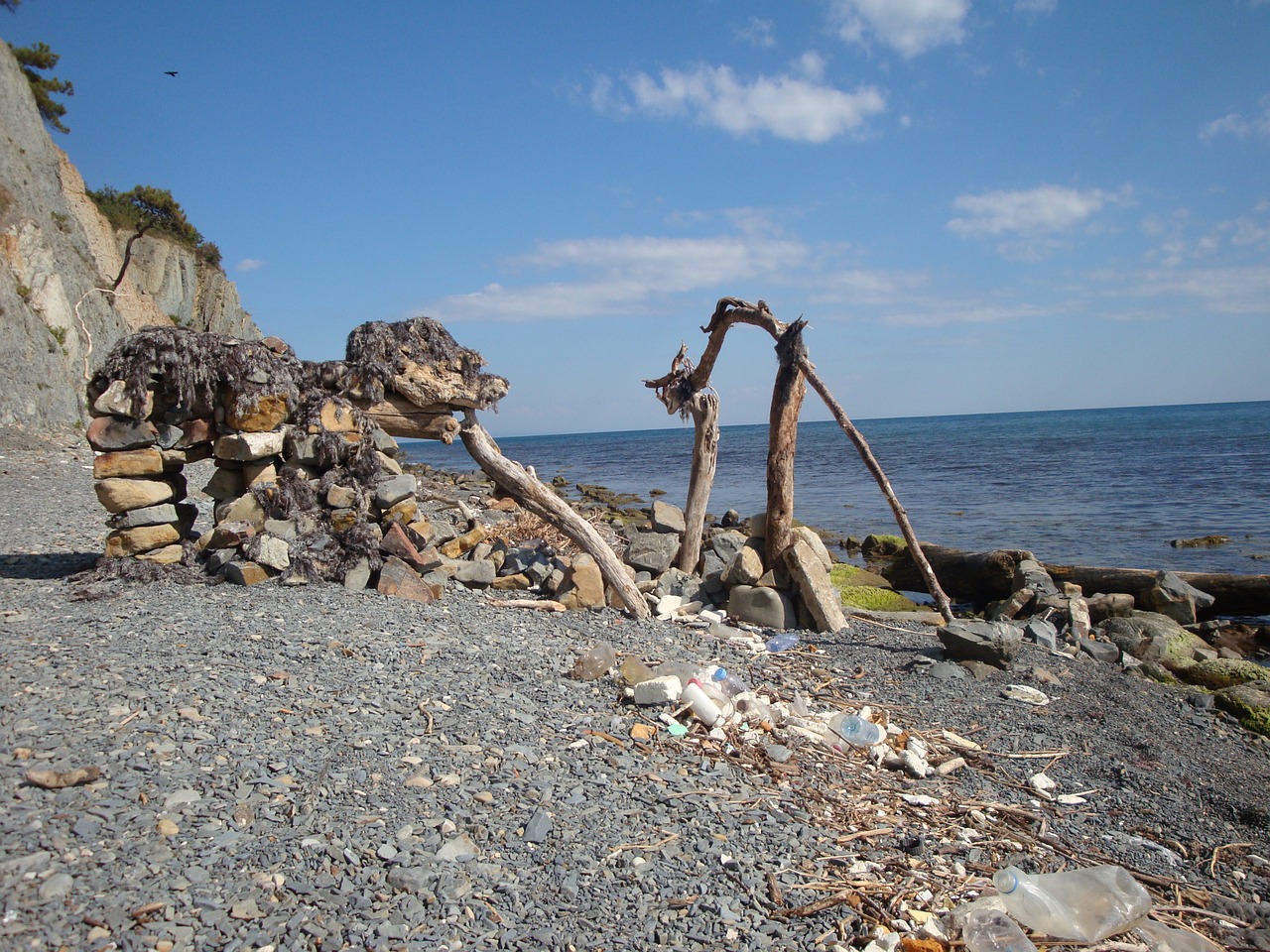 sea stones mammoth free photo