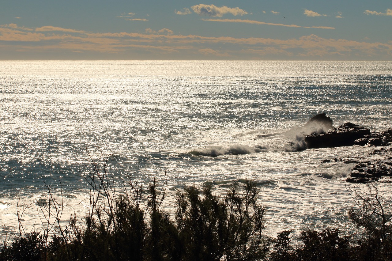 sea view beach free photo