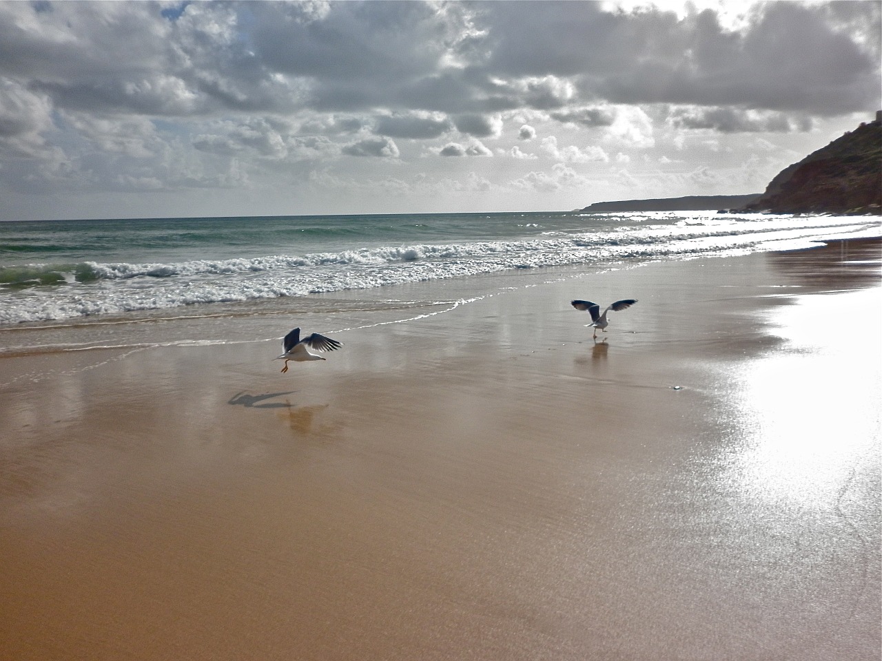 sea beach sand free photo