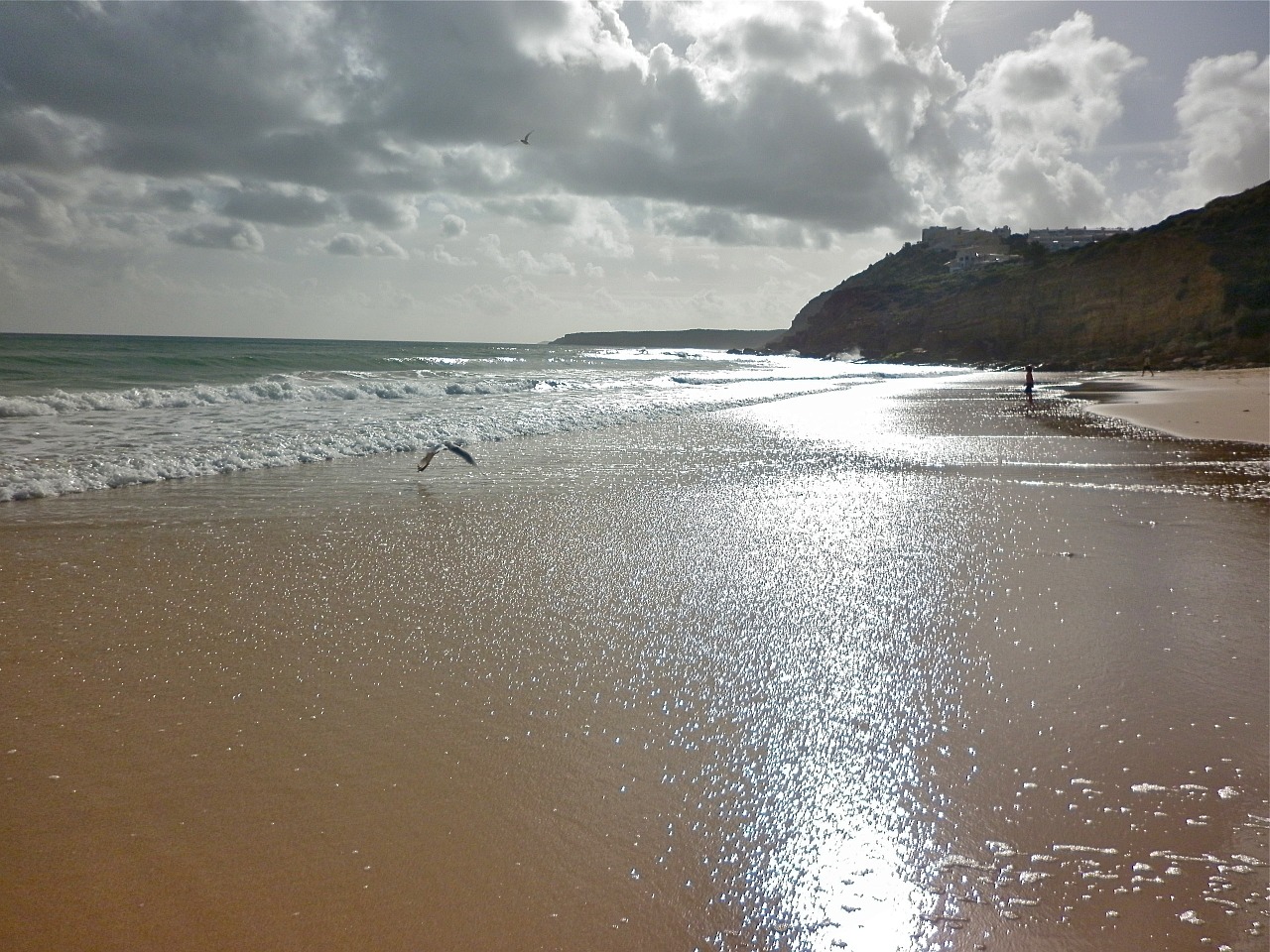 sea beach sand free photo