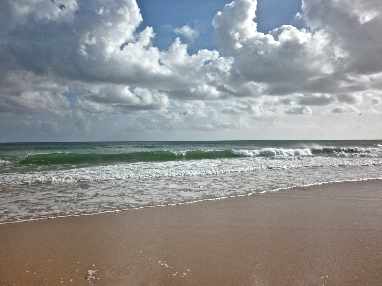 sea beach sand free photo