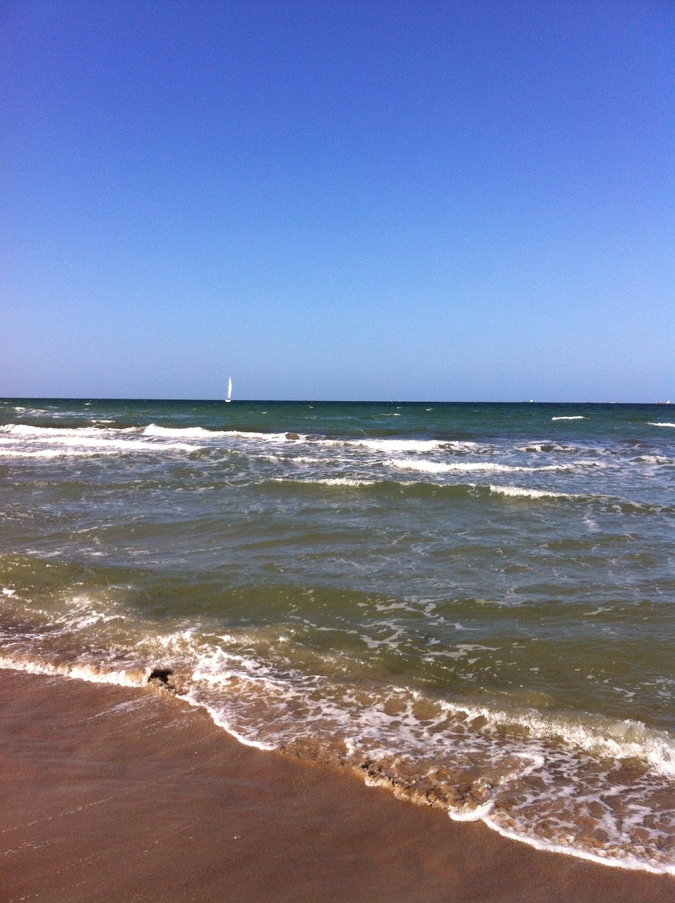 sea beach water wave free photo