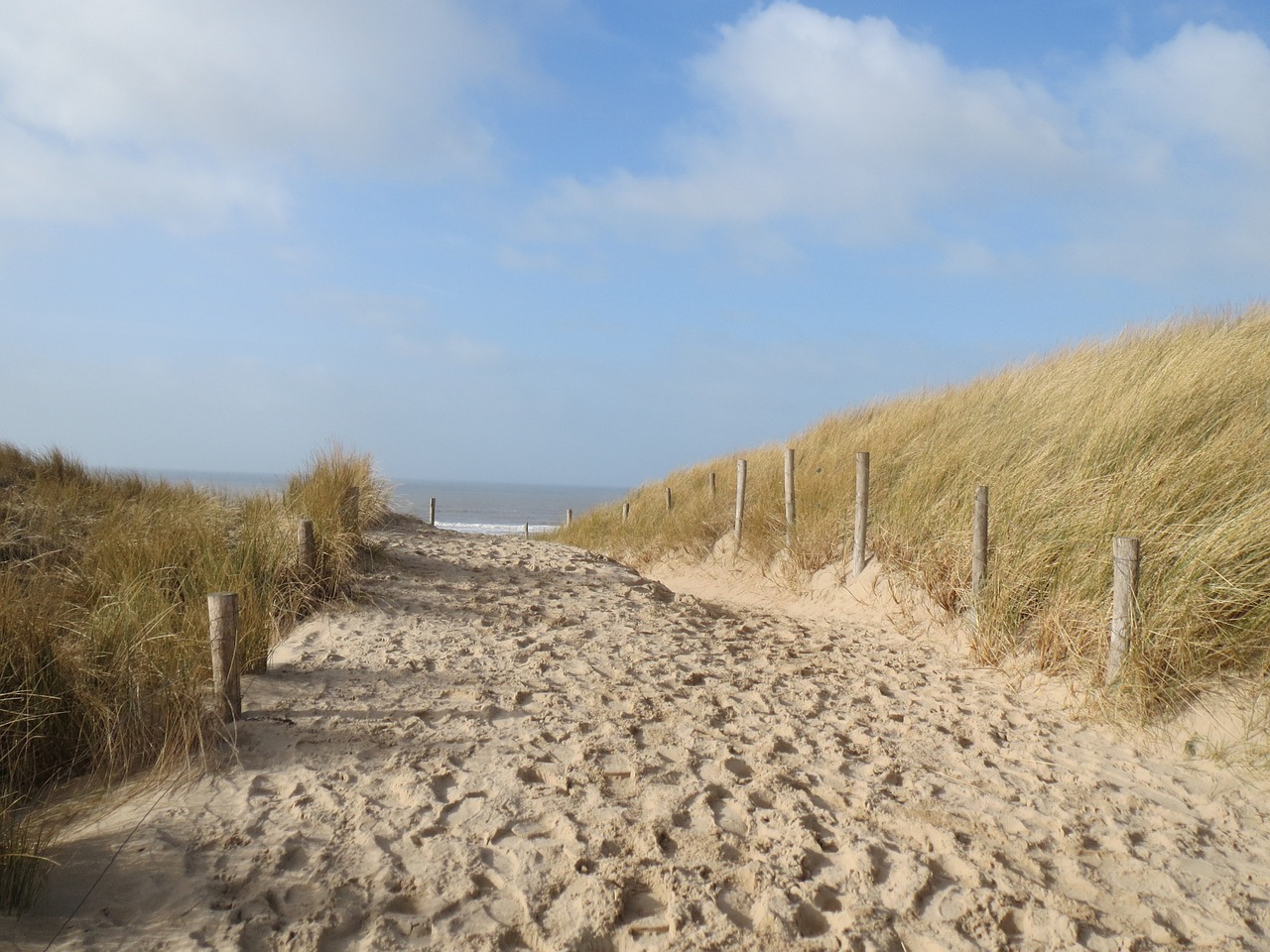 sea beach dune free photo