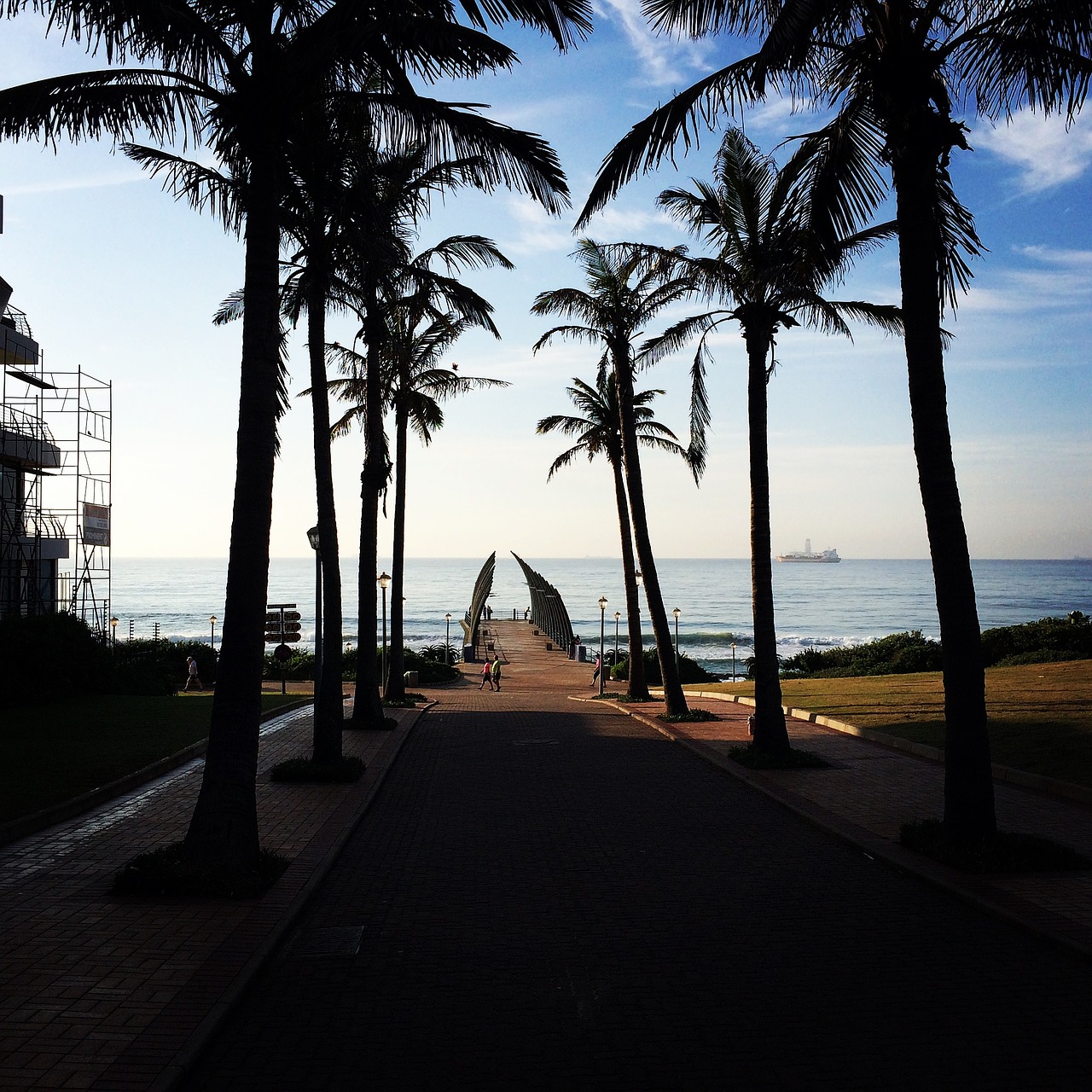 sea morning beach free photo