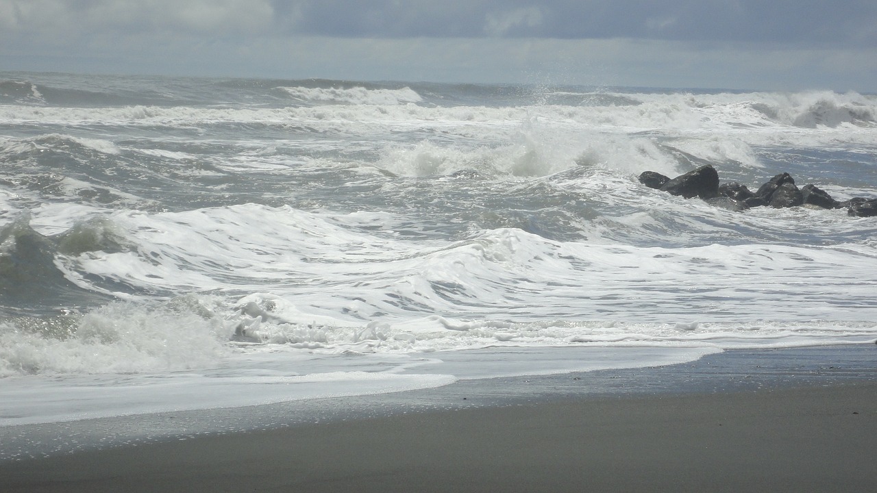 sea surf beach free photo