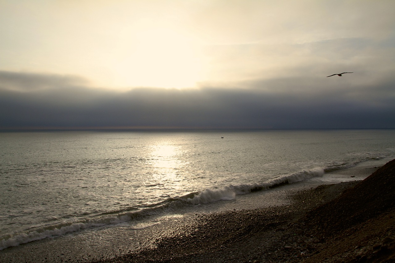 sea water beach free photo