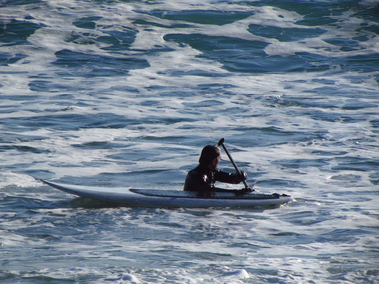 sea paddle surf free photo