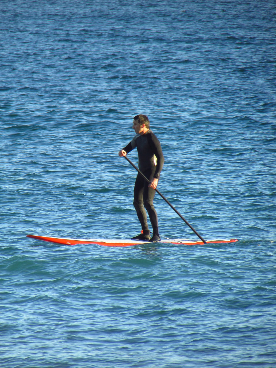 sea paddle surf free photo