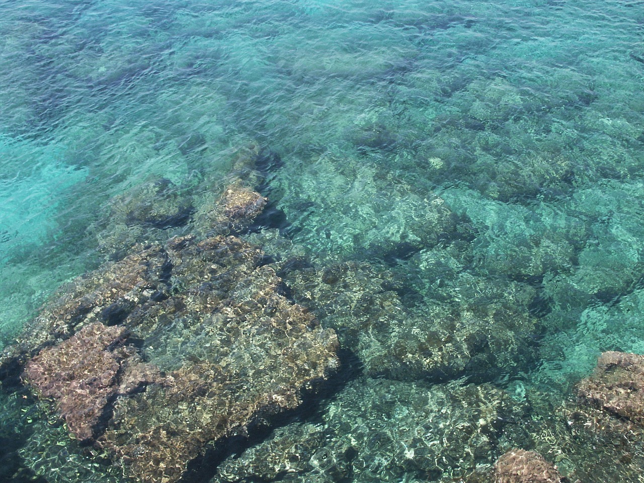 sea water cyprus free photo