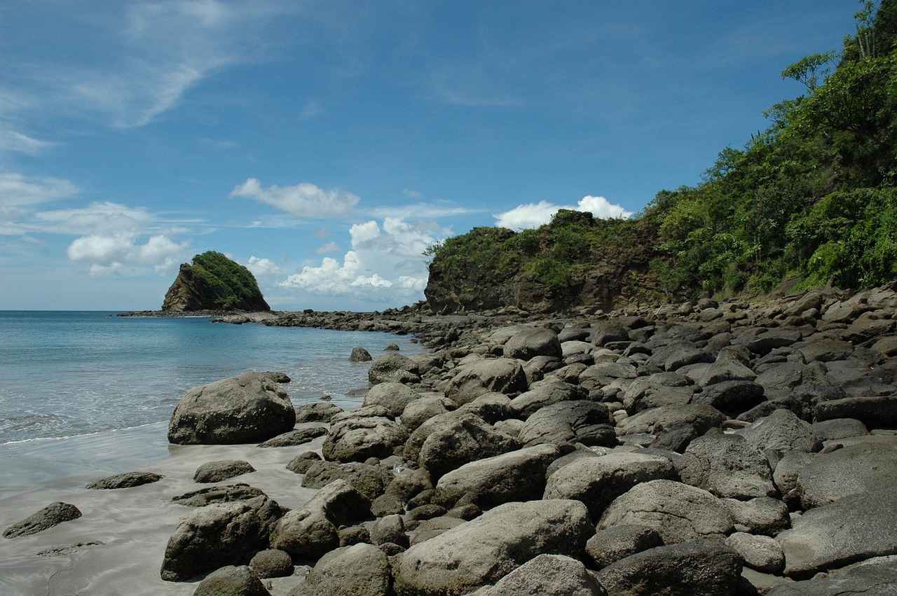 sea jungle beach free photo