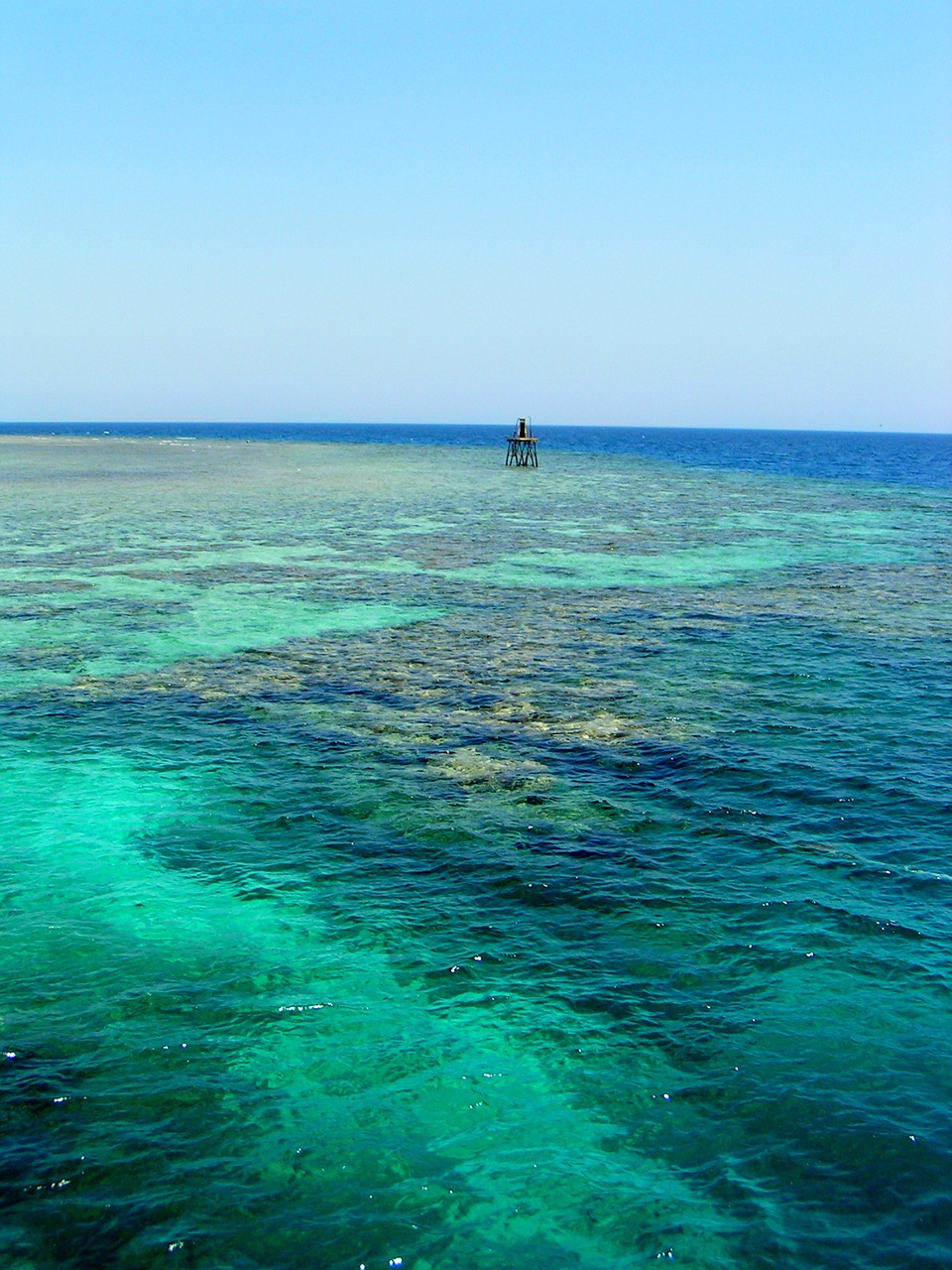 sea egypt red sea free photo