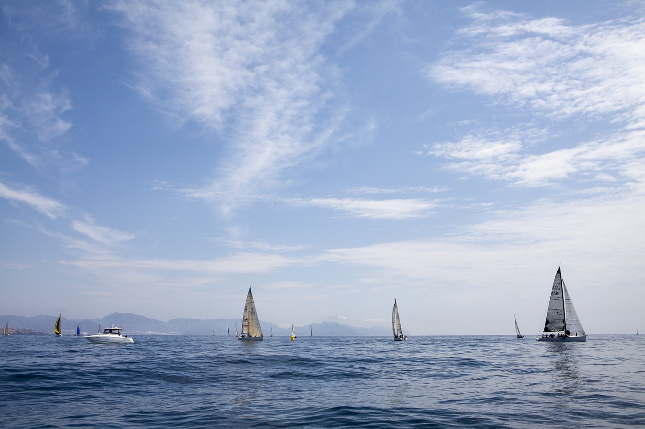 sea sailboats boats free photo